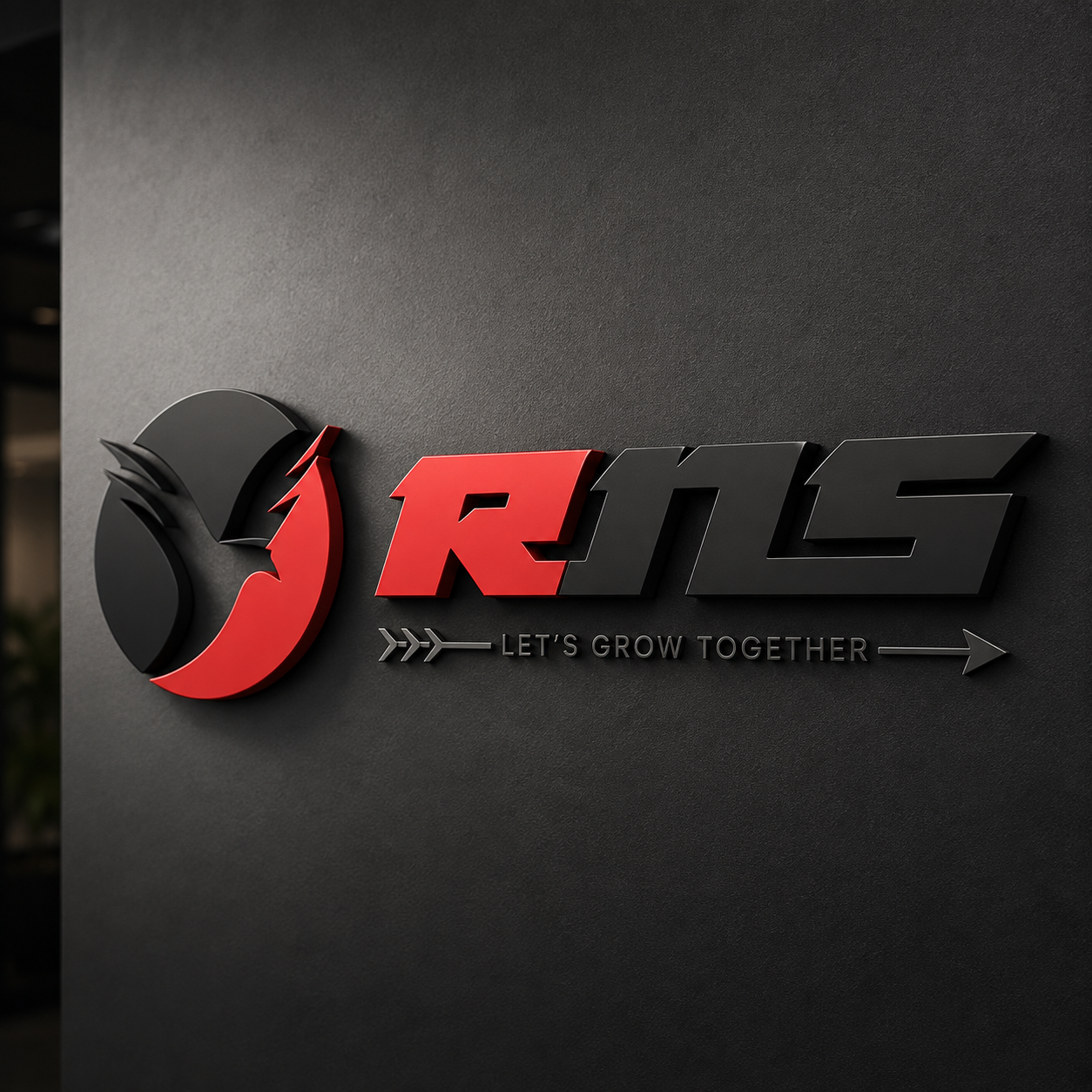 RNS Footwear logo